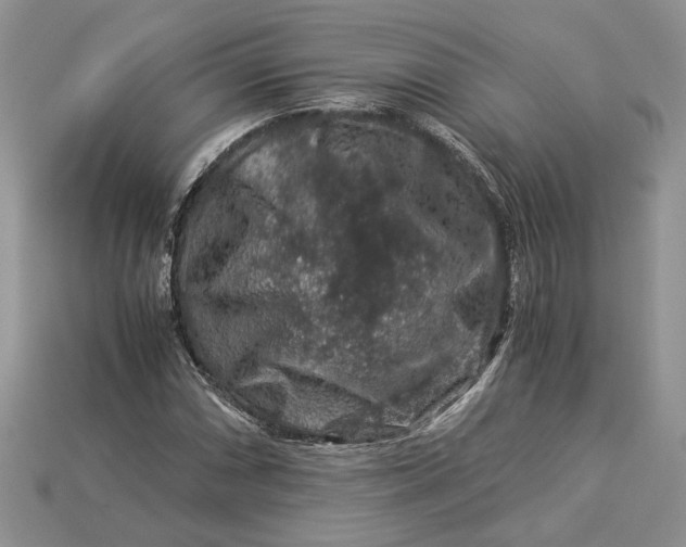 X0000112901066200909111520