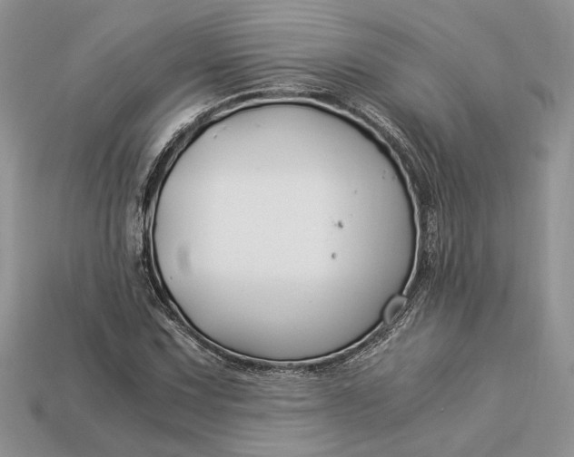 X0000112901067200909111520