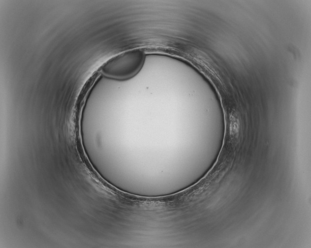X0000112901068200909111520