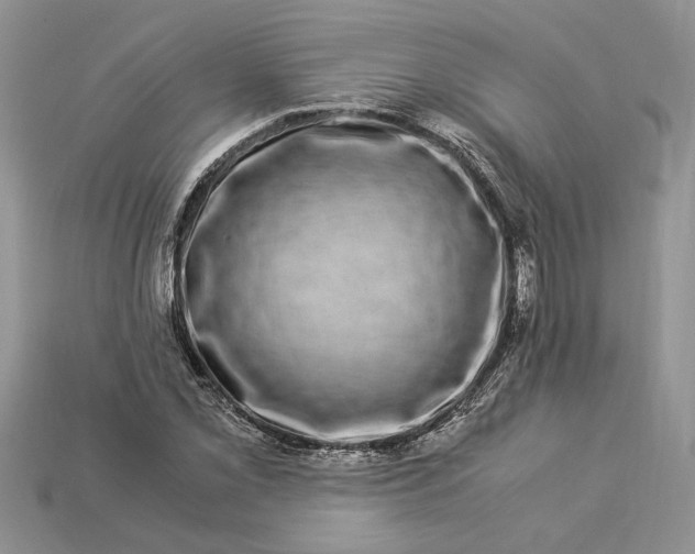 X0000112901069200909111520