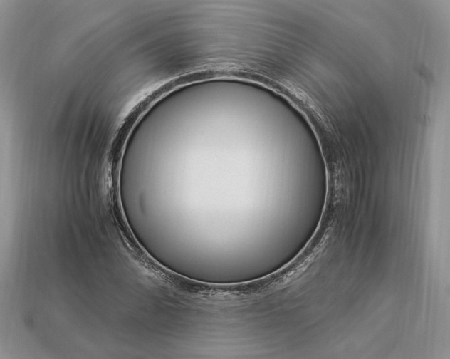 X0000112901070200909111520