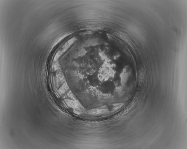 X0000112901071200909111520