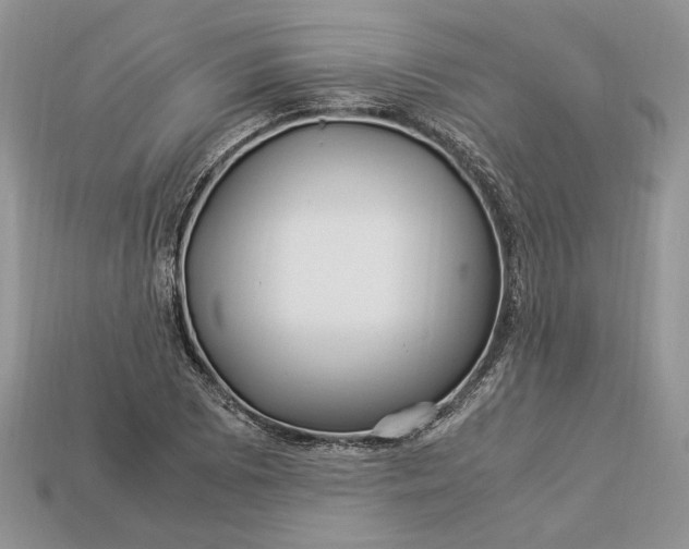 X0000112901073200909111520