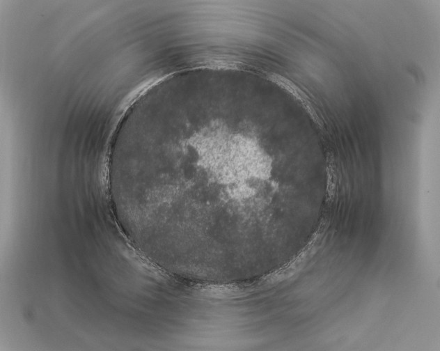 X0000112901074200909111520