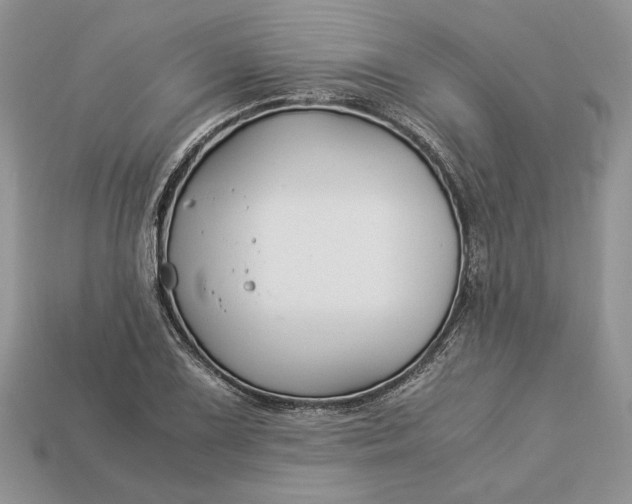 X0000112901075200909111520