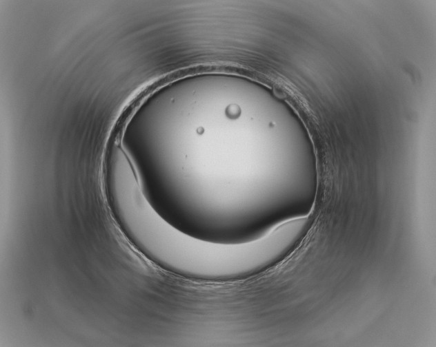 X0000112901076200909111520