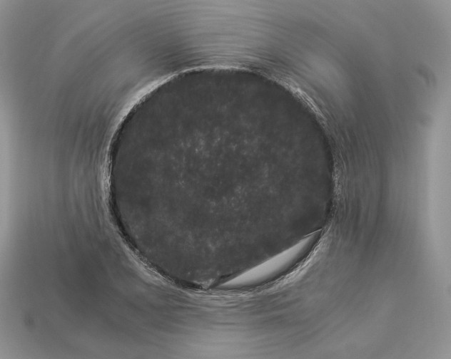 X0000112901077200909111520