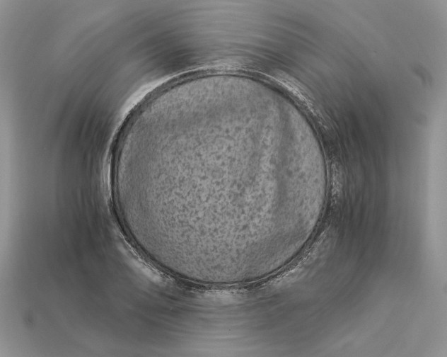 X0000112901078200909111520