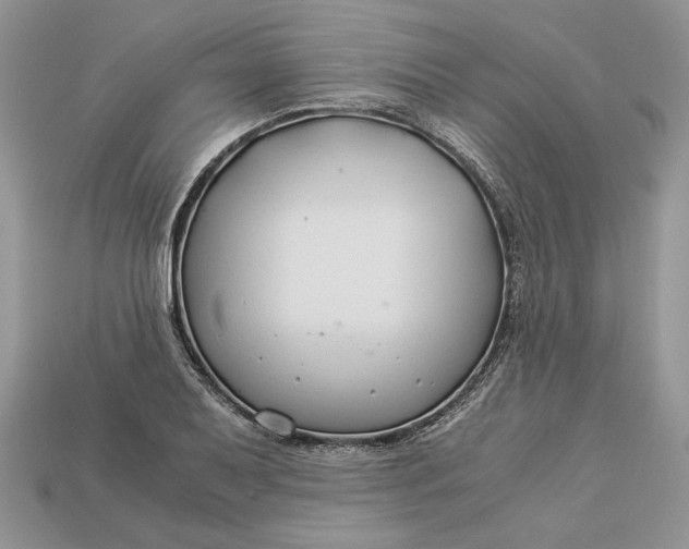 X0000112901079200909111520