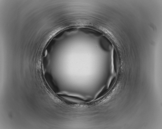 X0000112901081200909111519