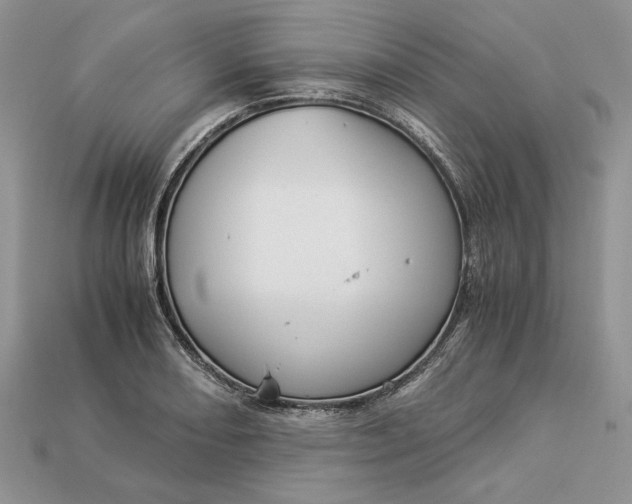 X0000112901082200909111519
