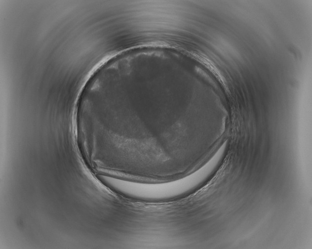 X0000112901084200909111519