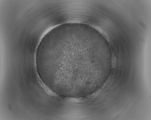 X0000112901086200909111519