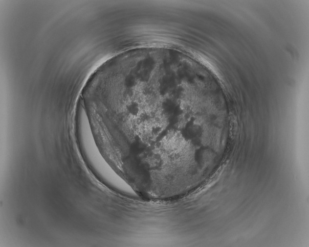 X0000112901087200909111519