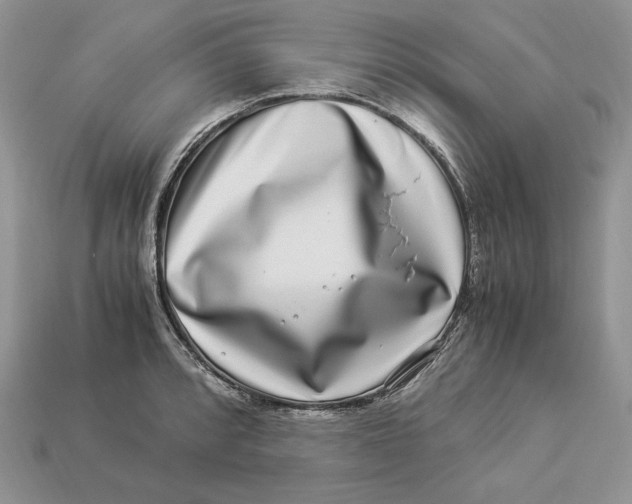 X0000112901088200909111519