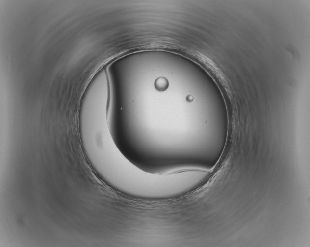 X0000112901089200909111519