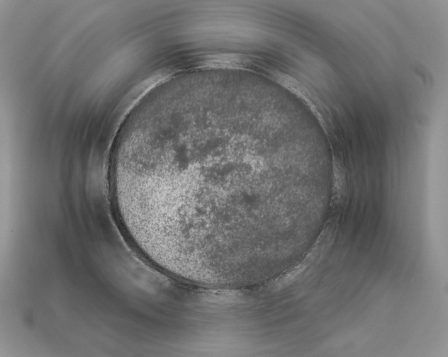 X0000112901090200909111519