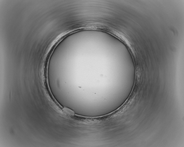 X0000112901091200909111519