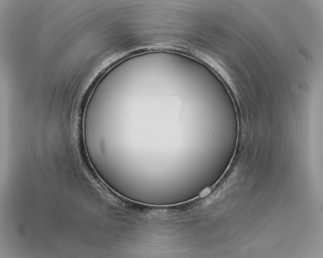 X0000112901093200909111519