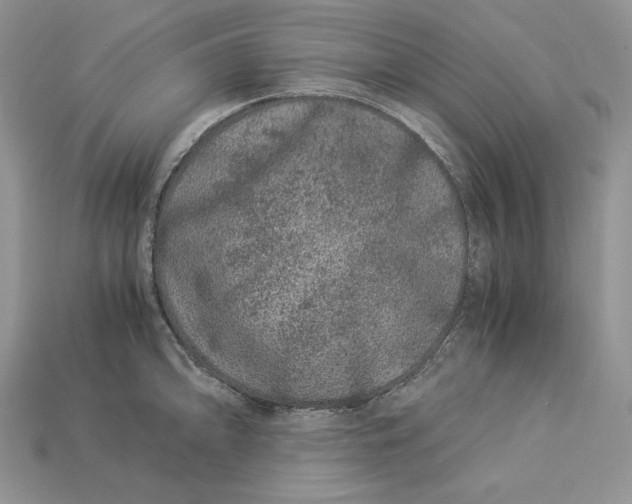 X0000112901094200909111519