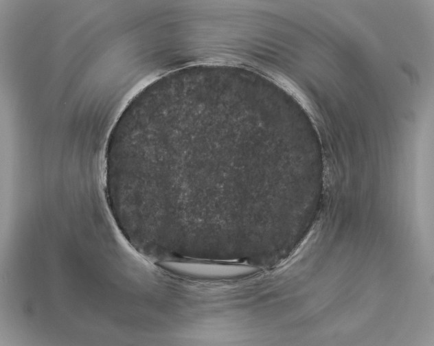 X0000112901095200909111519