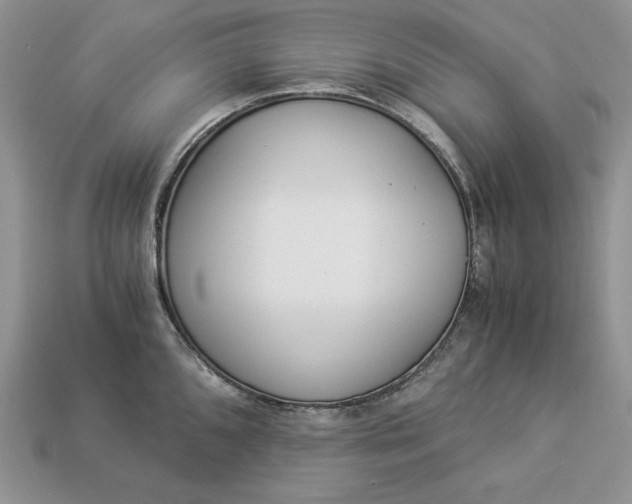 X0000112901096200909111519