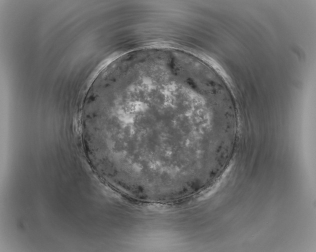 X0000112901097200909111519