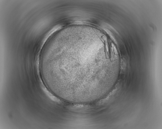 X0000112901098200909111519