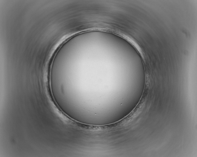 X0000112901099200909111519