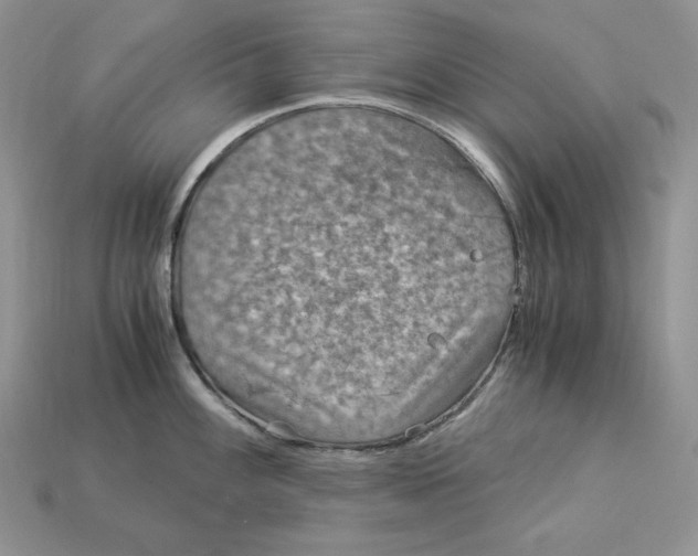 X0000112901100200909111519
