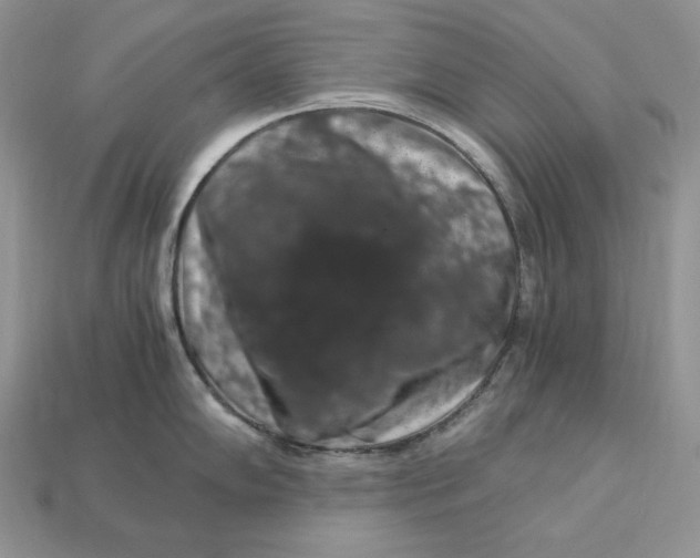 X0000112901102200909111519
