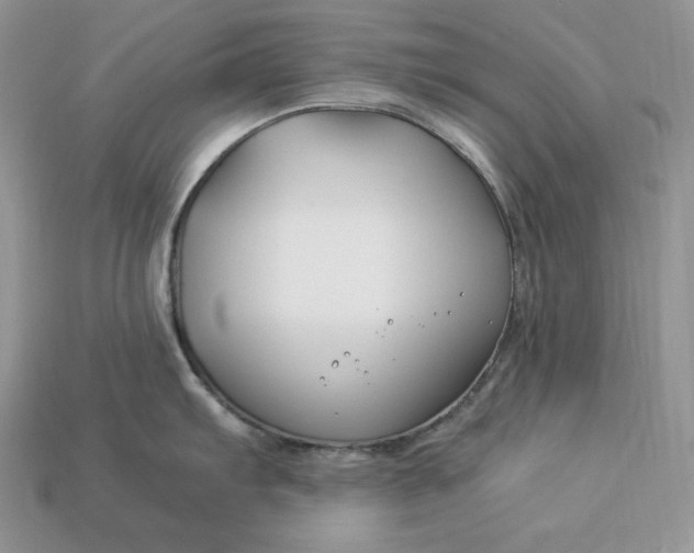 X0000112901103200909111519