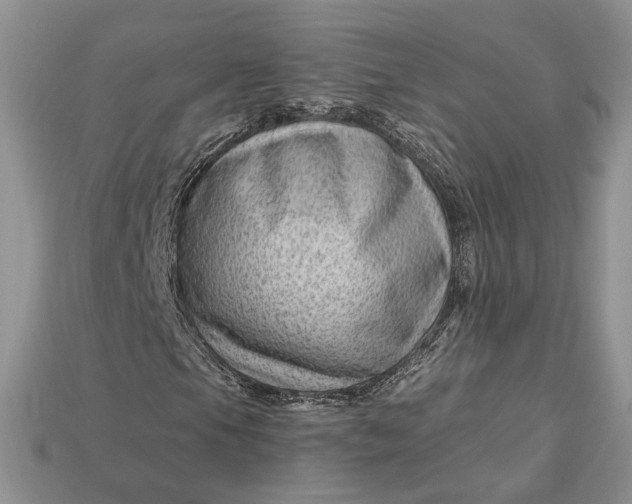 X0000112901105200909111519