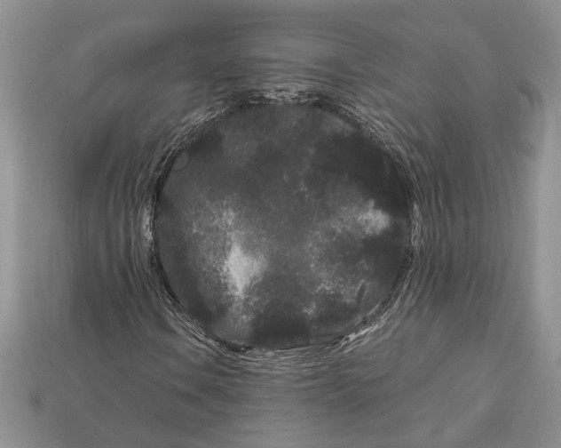 X0000112901106200909111519