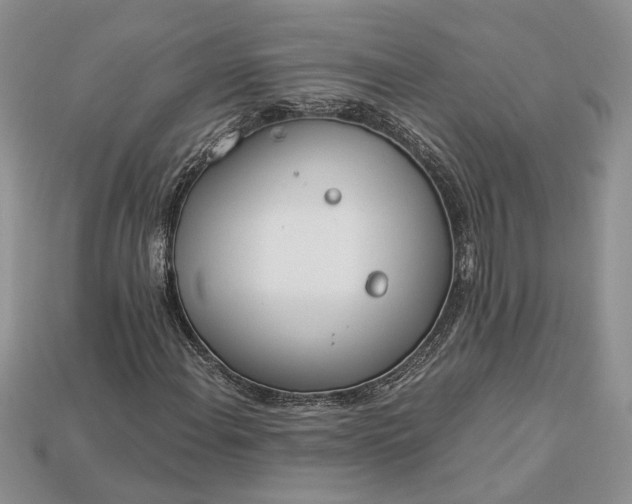 X0000112901108200909111519