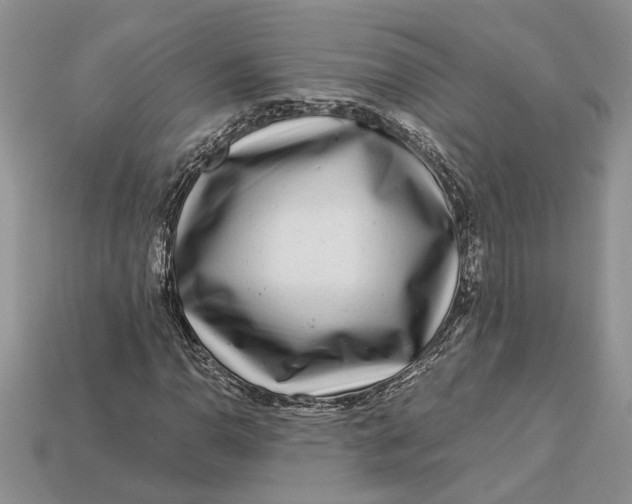 X0000112901110200909111519