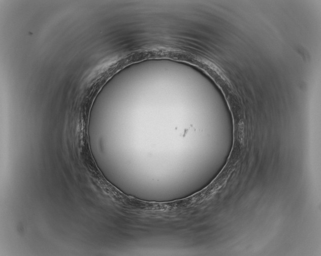 X0000112901111200909111519