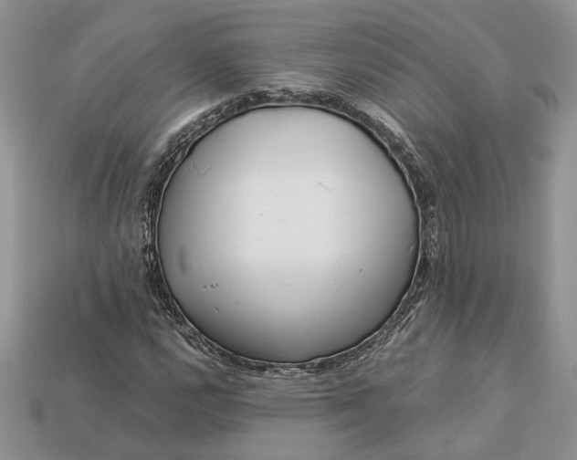 X0000112901112200909111519