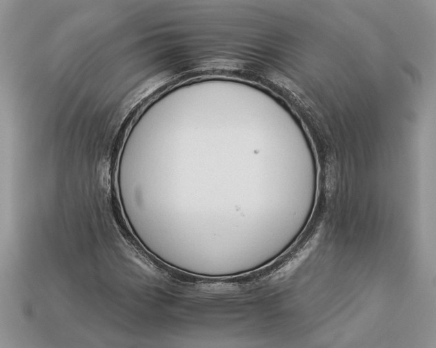 X0000112901113200909111519