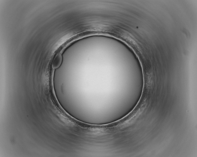 X0000112901114200909111519