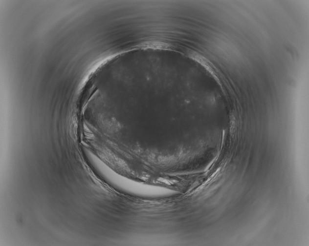 X0000112901115200909111519