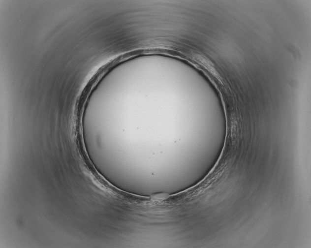 X0000112901116200909111519