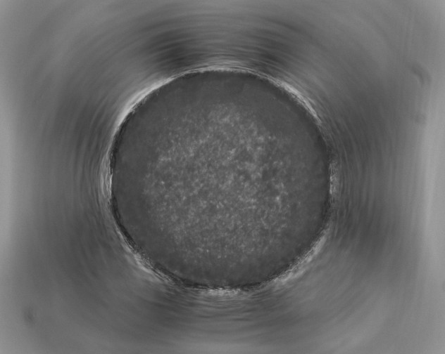X0000112901117200909111519