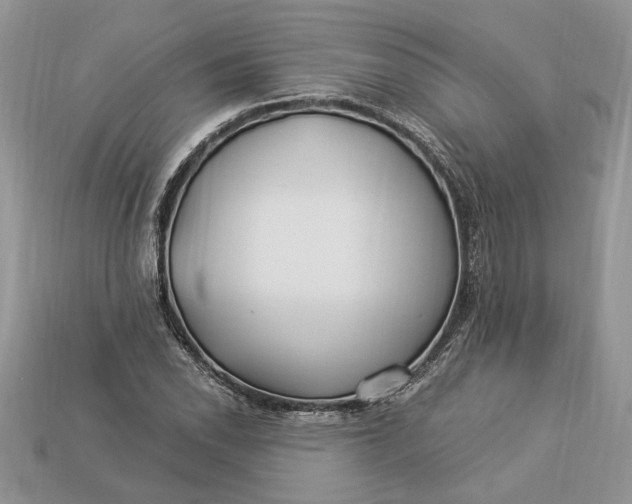 X0000112901118200909111519