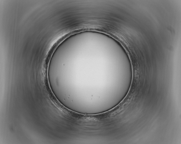 X0000112901119200909111519