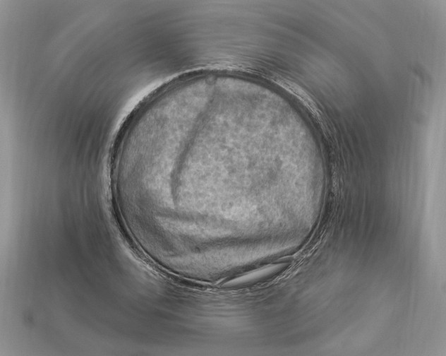 X0000112901120200909111519