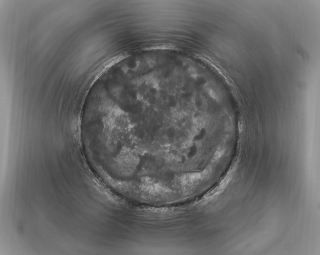 X0000112901121200909111519