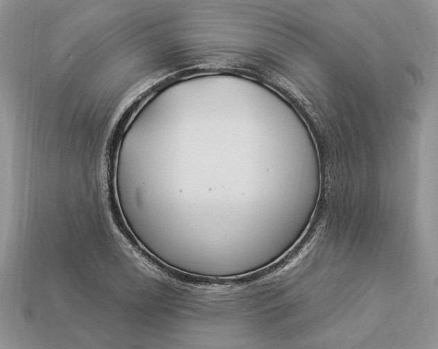 X0000112901122200909111519
