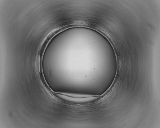 X0000112901123200909111519