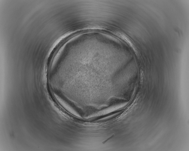 X0000112901124200909111519